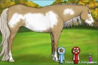 Horse Color:Silver Smoky Grullo Sabino Frame Rabicano 