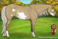 Horse Color:Silver Smoky Grullo Frame Rabicano 