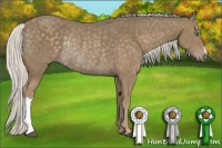 Horse Color:Silver Smoky Black Rabicano 