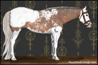 Horse Color:Silver Brown Roan Sabino Splash Snowflake Varnish