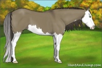 Horse Color:Smoky Grullo Splash 