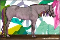 Horse Color:Painted Liver Red Dun Ice Roan Sabino