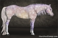 Horse Color:Watercolor Silver Bay Ice 