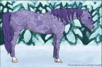 Horse Color:Watercolor Black Ice Appaloosa Rabicano 