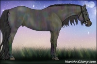 Horse Color:Midnight Bay Ice Dun 