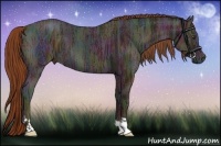 Horse Color:Midnight Chestnut Ice 