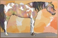 Horse Color:Nacre Buckskin Tobiano 