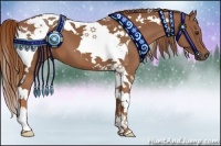 Horse Color:Chestnut Tobiano 