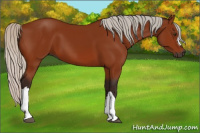 Horse Color:Gray Silver Bay