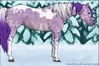 Horse Color:Watercolor Brown Ice Dun Tobiano 
