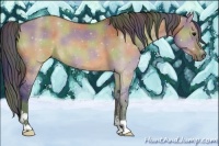 Horse Color:Nacre Brown Dun