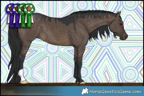 Horse Color:Brown Dun