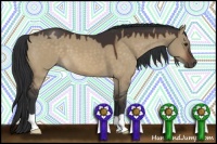 Horse Color:Brown Dun 