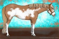 Horse Color:Chestnut Splash Frame 