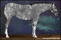 Horse Color:Black Ice 