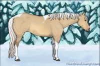Horse Color:Silver Buckskin Dun Tobiano 