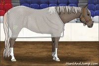 Horse Color:Silver Black 
