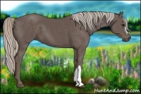Horse Color:Silver Black 