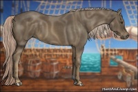 Horse Color:Chocolate Palomino