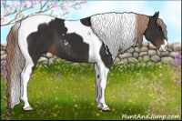 Horse Color:Liver Chestnut Sabino Tobiano 