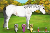 Horse Color:White Spotted Bay Dun
