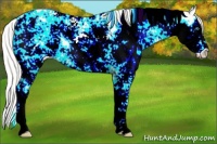 Horse Color:Silver Perlino Dun Sabino 