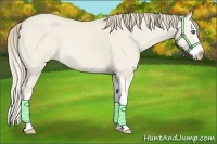 Horse Color:Smoky Creme Roan Dun Splash 
