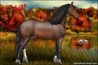 Horse Color:Bay Roan 