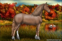 Horse Color:Red Roan