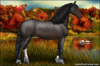 Horse Color:Gray Brown Roan