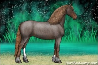 Horse Color:Liver Red Roan 