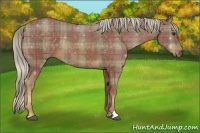 Horse Color:Plaid  Chocolate Palomino 