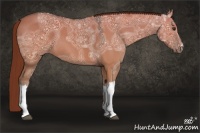 Horse Color:Red Dun Ice 