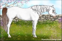 Horse Color:White Spotted Chestnut Splash Frame Snowcap 