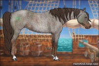 Horse Color:Liver Red Roan 