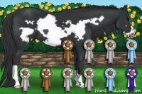 Horse Color:Black Frame 