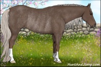 Horse Color:Silver Black Rabicano
