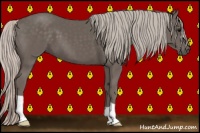 Horse Color:Silver Black 