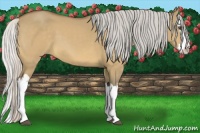 Horse Color:Silver Buckskin Dun Splash 