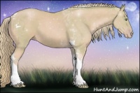 Horse Color:Watercolor Gold Cream Champagne Tobiano