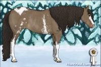 Horse Color:White Spotted Liver Red Dun Appaloosa Rabicano Brindle 