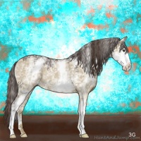 Horse Color:White Spotted Liver Red Dun Rabicano 