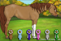 Horse Color:Gray Red Dun