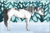 Horse Color:White Spotted Black Splash Frame 