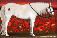 Horse Color:White Spotted Smoky Creme 