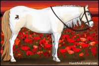 Horse Color:Buckskin Pearl Dun Sabino Tobiano