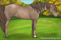 Horse Color:Black Pearl 