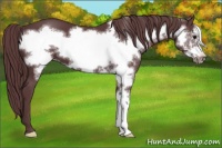 Horse Color:Chocolate Black Frame
