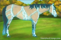 Horse Color:Thunderstruck Buckskin Roan Dun Splash 