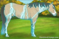 Horse Color:Thunderstruck Classic Cream Champagne Dun Splash 